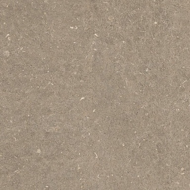 Керамогранит Casa Dolce Casa 785498 Rinascenza Arena Pietra Grip 60x60