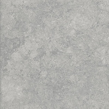 Керамогранит Alpas Euro Fossil Gris 20mm 60x60