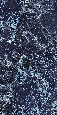 Керамогранит Cedit 763506 Araldica Base Blu Lucida R 6mm 120x240