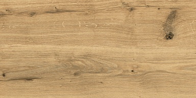 Керамогранит Cersanit C-WS4O112D Woodhouse коричневый 29,7х59,8