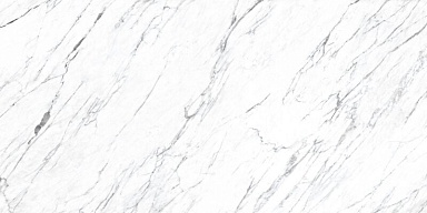 Керамогранит Roca FPK00MQ011 LM STATUARIO MC 100X200