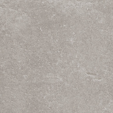 Керамогранит Porcelanosa 100324749 Verbier Silver 59.6x59.6