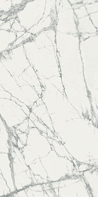 Керамогранит Italon 610015000496 Charme Deluxe Инвизибл Уайт Пат Рет 60x120