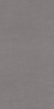 Керамогранит Cedit 769475 Chimera Radici Grigio Mat Ret 6mm 60x120