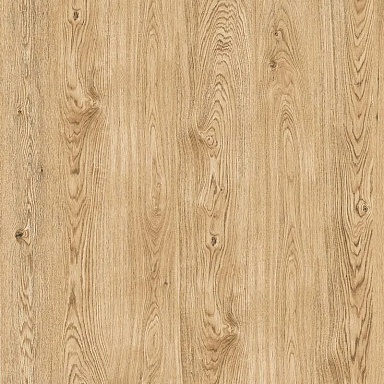 Керамогранит ProGRES Ceramica NR0395-M Керафорест Pine Коричневый светлый матовый 600x600x9.5