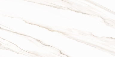 Плитка AltaCera WT9ESR00 Esprit Calacatta 250*500*9
