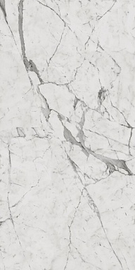 Керамогранит Italon 610015000402 Charme Evo Statuario Lux 60х120
