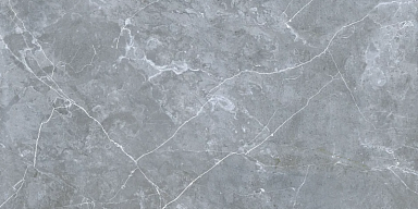 Керамогранит Gresse GRS02-16 Northern Silver матовый 120x60