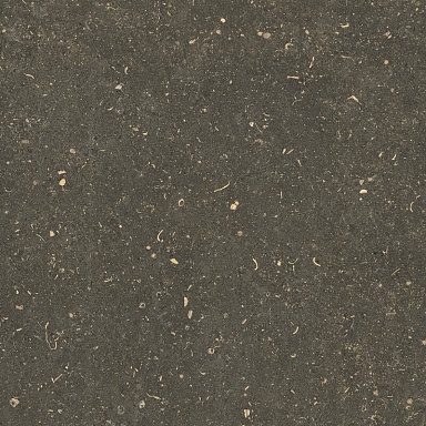 Керамогранит Casa Dolce Casa 785499 Rinascenza Arena Platino Grip 60x60