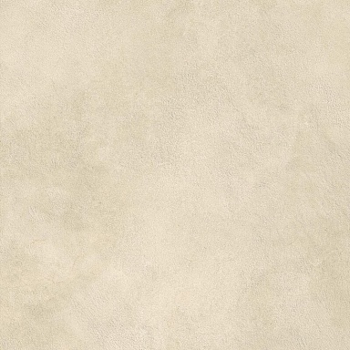 Керамогранит Atlas Concorde Italy AYVP Boost Expression Camel Matte 60x60
