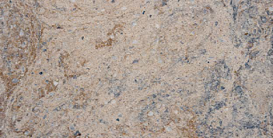 Керамогранит Serapool FM3366 Fossil Mix 33х66