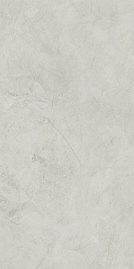Керамогранит NT Ceramic NTT99612L Granite Obelisk Ash 60x120