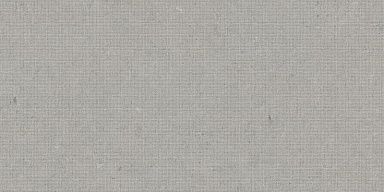 Декор Tau Ceramica DC. Calcare Silver 60x120