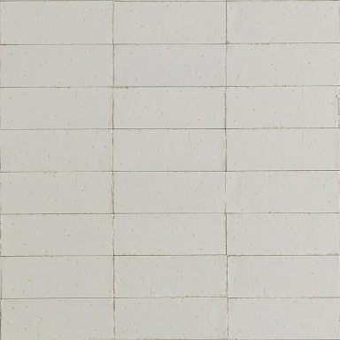 Керамогранит Ragno Marazzi RAEV Glace Bianco Glossy 7,5x20
