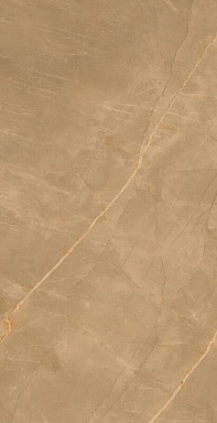 Керамогранит Artcer Eco Marble Royalish Brown 120x60
