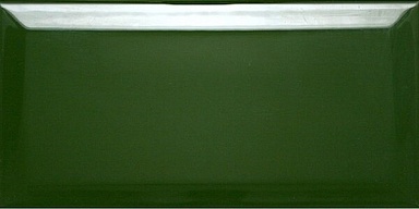 Плитка Dar Ceramics Biselado Botella Brillo 10х20