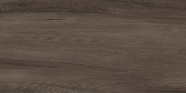Керамогранит Artkera Group GP36GOA21 Goa Marron матовый 300x600x8