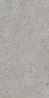 Керамогранит Kerama Marazzi DD590620R Про Лаймстоун АТ серый натуральный обрезной 119,5x238,5x0,9