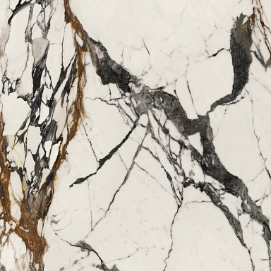 Керамогранит Porcelanosa 100331132 Xlight Paonazzo Biondo Polished 120x120