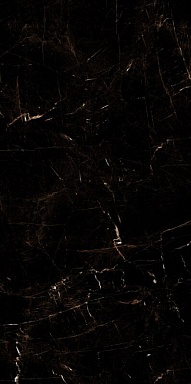 Керамогранит Artcer Marble Tropic Black 120x60