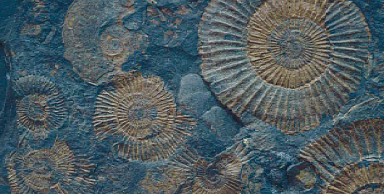 Керамогранит Serapool FM3366 Fossil Mix 33х66