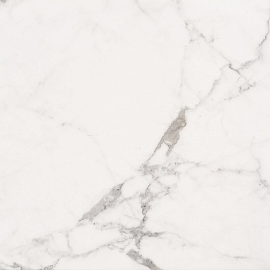 Керамогранит Absolut Gres AB 1096M Carrara Classic matt 600x600