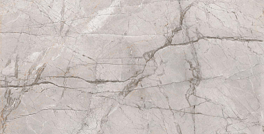 Керамогранит Alpas Euro Marble Dragon Grey Silk 60x120