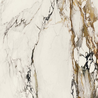Керамогранит Porcelanosa 100331132 Xlight Paonazzo Biondo Polished 120x120