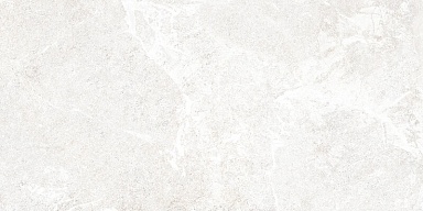 Плитка Alma Ceramica TWU2550PRS07 Persey 249x500x7