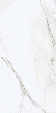 Керамогранит Naxos 120124 Emotion Naturale Rettificato 60X120
