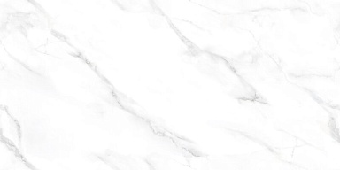 Керамогранит NT Ceramic NTT99506P Statuario Endless 60x120