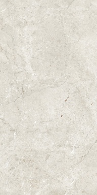 Керамогранит Artcer 1217 Palermo Silver Matt Glr 9 mm 120x60