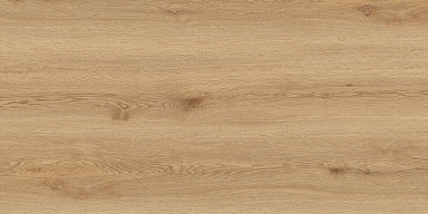 Керамогранит Global Tile GT5010026902MCR Вуди Бежевый 50x100