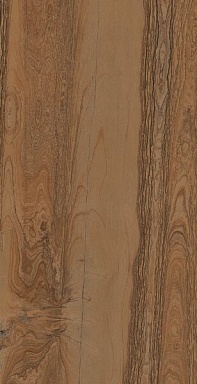 Керамогранит La Faenza RDKA 12BS LP Dark Beige 60x120