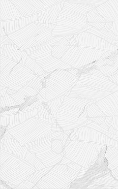 Плитка Creto 00-00-5-09-00-01-2626 Lace белый 25х40