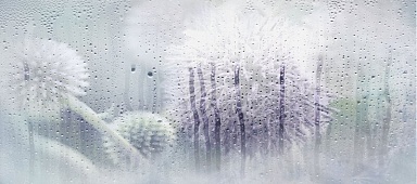Декор PiezaROSA 131614 Rosa Деко 20*45
