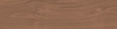 Керамогранит Kerama Marazzi KM1040G0031N Аргания коричневый матовый 9,9x40,2x0,8