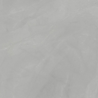 Керамогранит Dado Ceramica 005845 Walk Pearl Rett 120x120