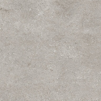 Керамогранит Casa Dolce Casa 768370 Sensi Grey Fossil Ret 80x80
