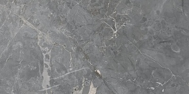 Керамогранит Keraben Fior Di Bosco Grey Starlight 120x60