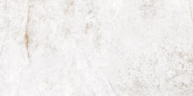 Керамогранит Fanal Chile White Rec 60x120
