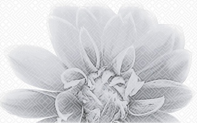 Gracia Ceramica 010301001886 Камелия чёрный декор 03 25х40