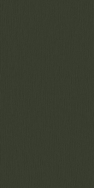 Декор Motto N100154 Монотон Оливе Д1 Матовый 60x120