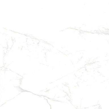 Керамогранит NT Ceramic NTT996070M Callacata Carving 60x60