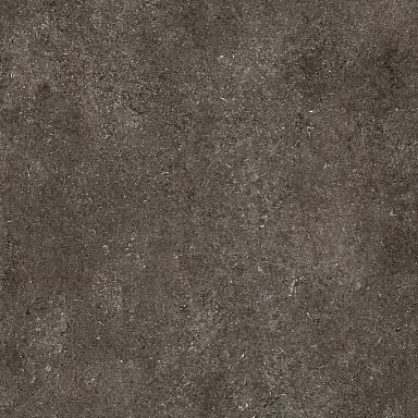 Керамогранит Casa Dolce Casa 768560 Sensi Brown Fossil Nat Ret 6mm 120x120