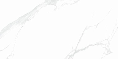 Керамогранит NT Ceramic NTT9106P Statuario 60x120