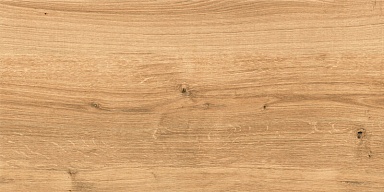 Керамогранит Cersanit C-WS4O112D Woodhouse коричневый 29,7х59,8