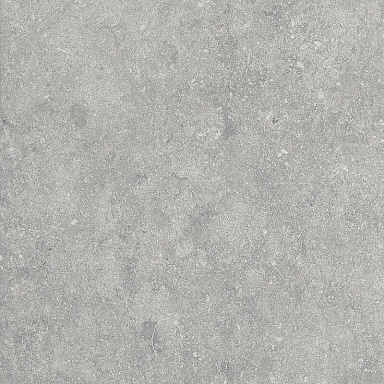 Керамогранит Alpas Euro Fossil Gris 20mm 60x60