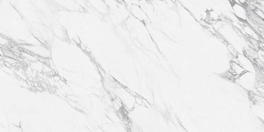 Керамогранит NT Ceramic NTT99528P Artic statuario Glossy 60x120