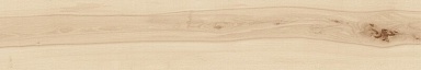 Керамогранит Atlas Concorde Italy AX68 Log Cansei Sospiro Matte 20x120